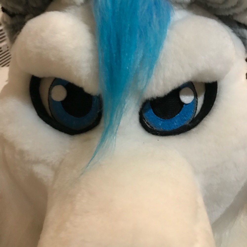 Fursuit - Head, paws and tail. Wolf
